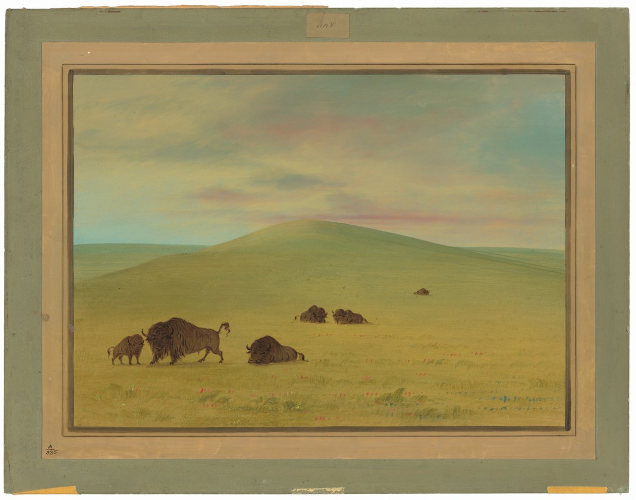 American Pasturage - Prairies of the Platte autorstwa George Catlin