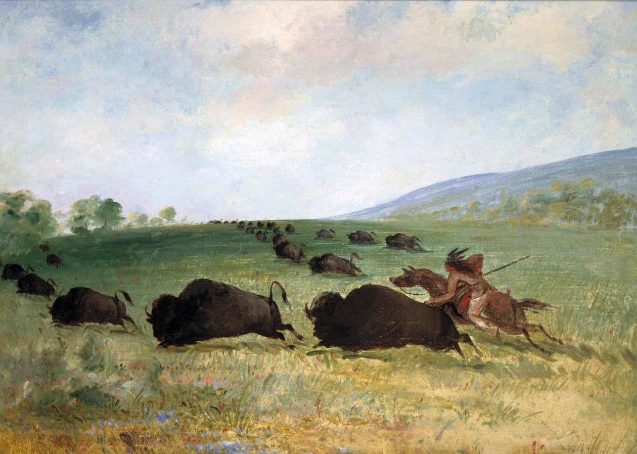 Indianin z plemienia Osage lansujący bizona autorstwa George Catlin