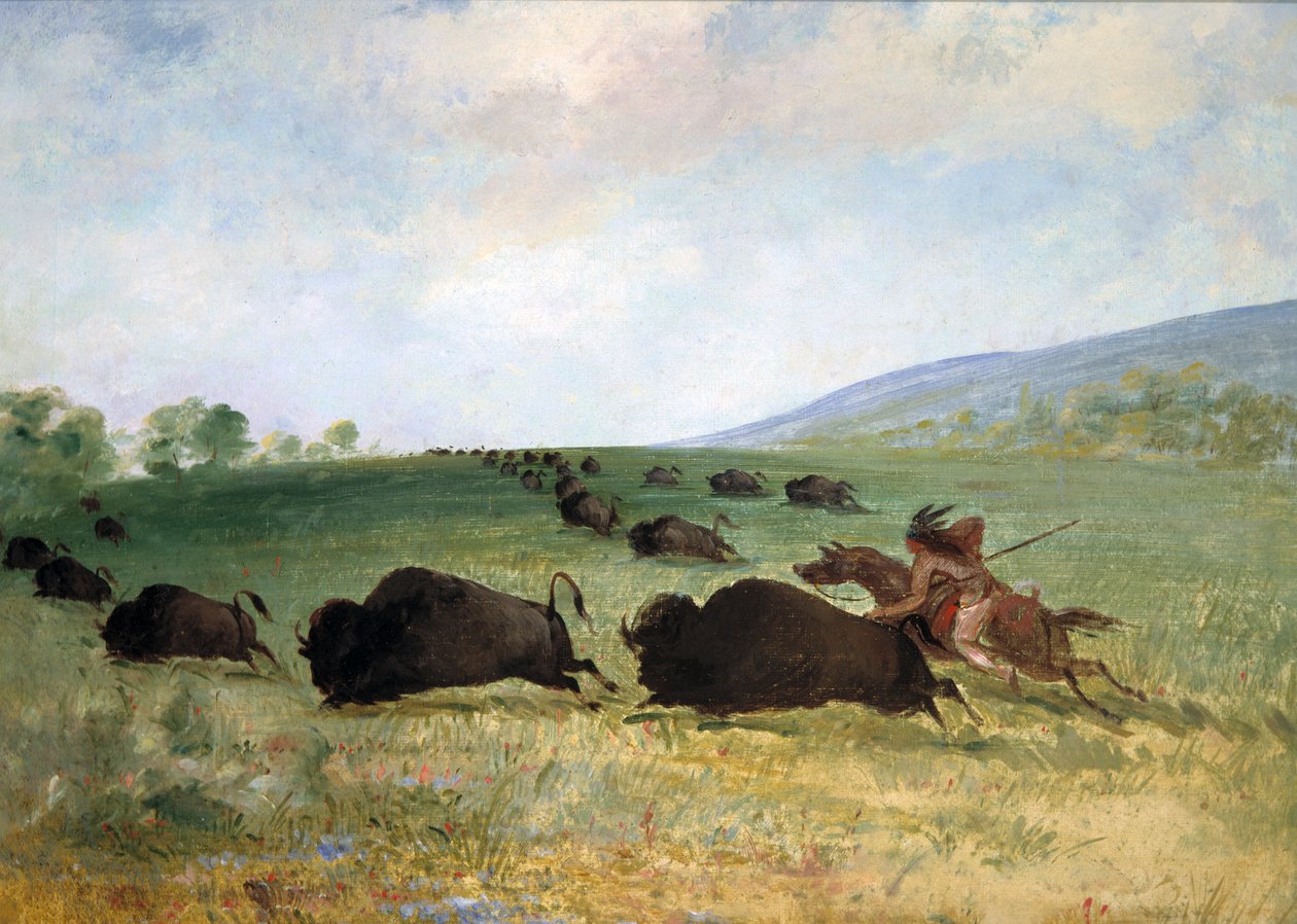Indianin Osag nabijający bawoła, 1846-1848. autorstwa George Catlin