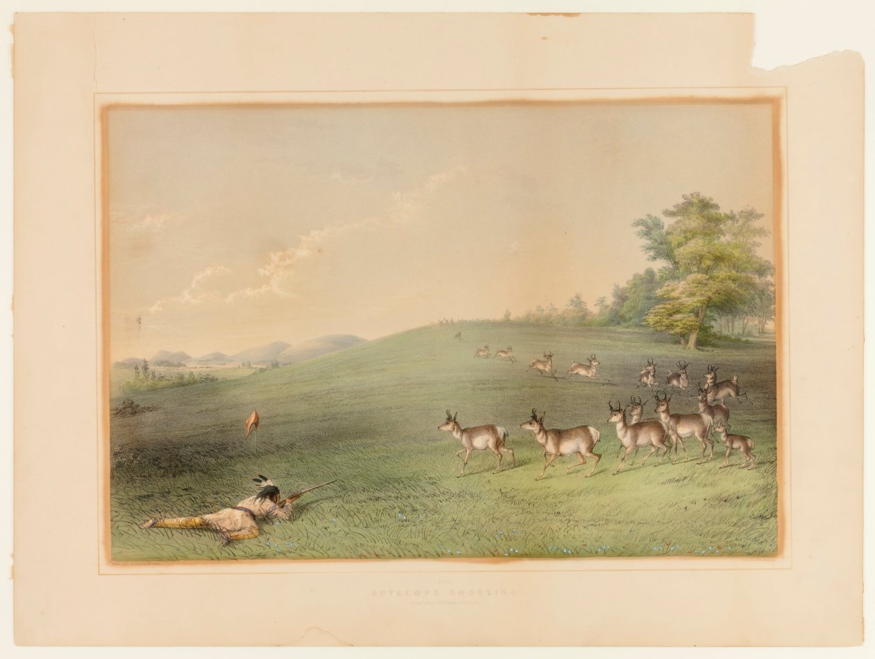 Strzelanie do antylop - nr 20 autorstwa George Catlin