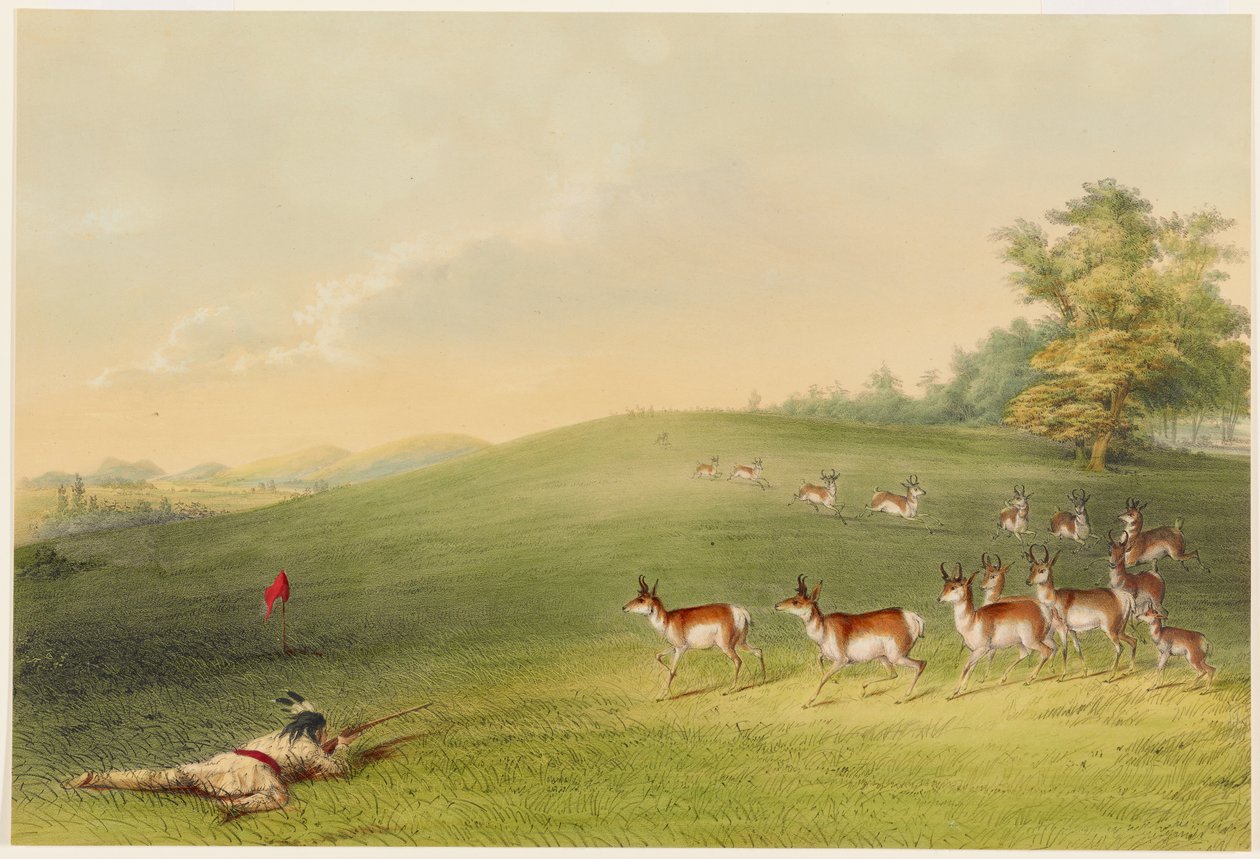 Polowanie na antylopy autorstwa George Catlin