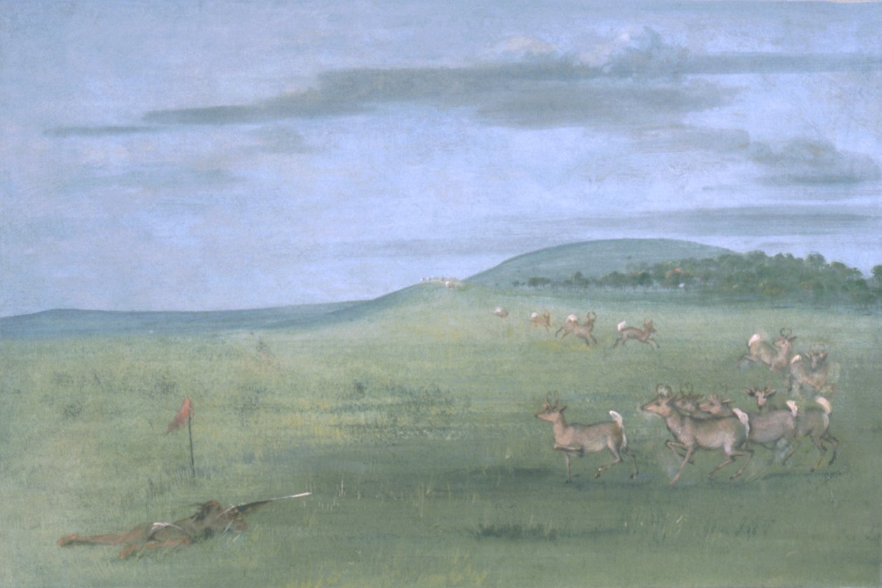 Strzelanie do antylopy, przynęta autorstwa George Catlin