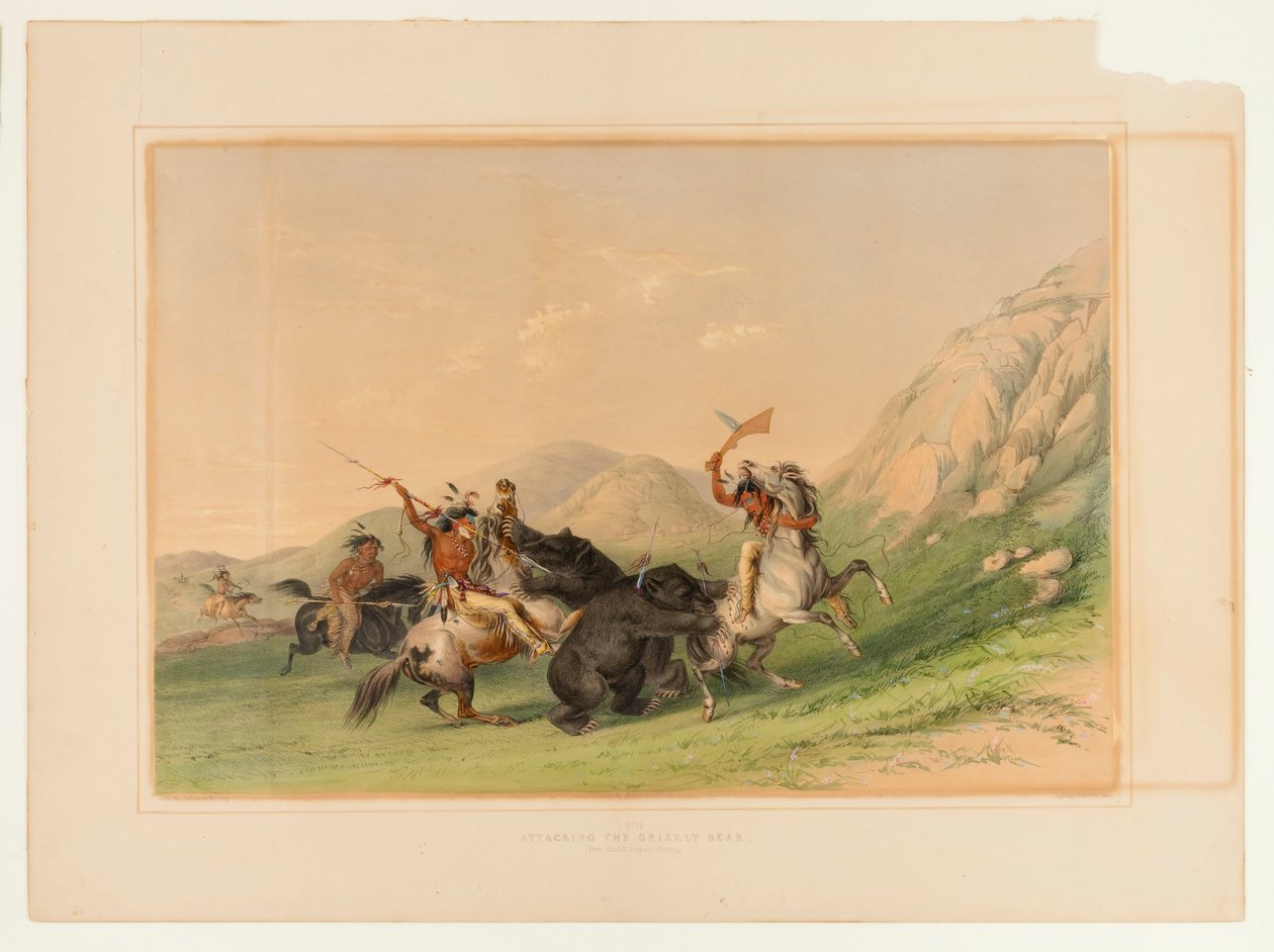 Atak na niedźwiedzia grizzly - nr 19 autorstwa George Catlin