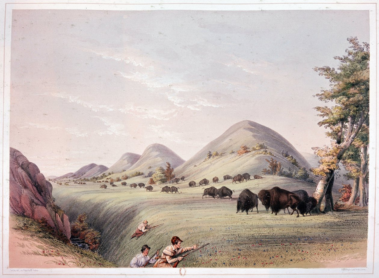 Polowanie na żubry autorstwa George Catlin