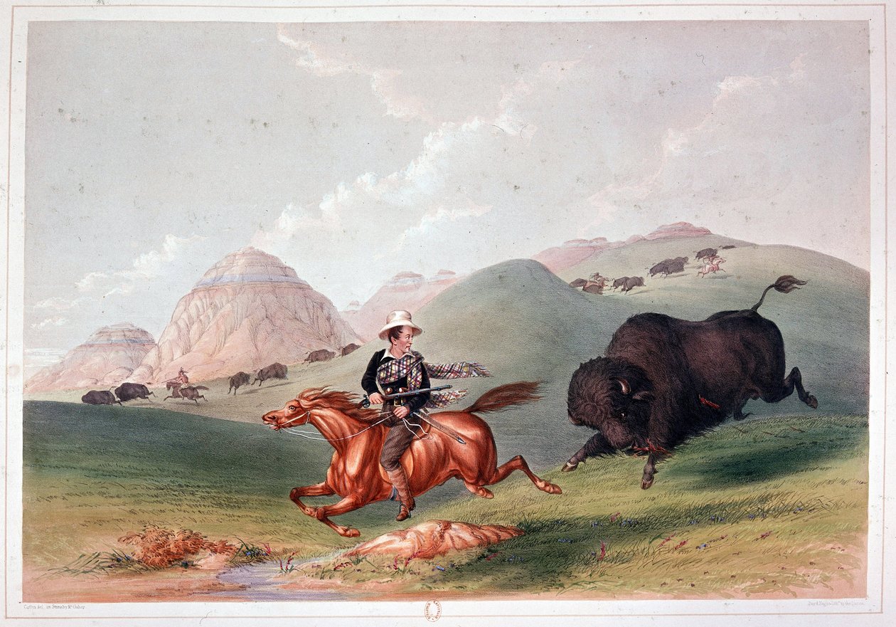 Polowanie na żubry w Ameryce Północnej - litografia Georgesa Catlina autorstwa George Catlin