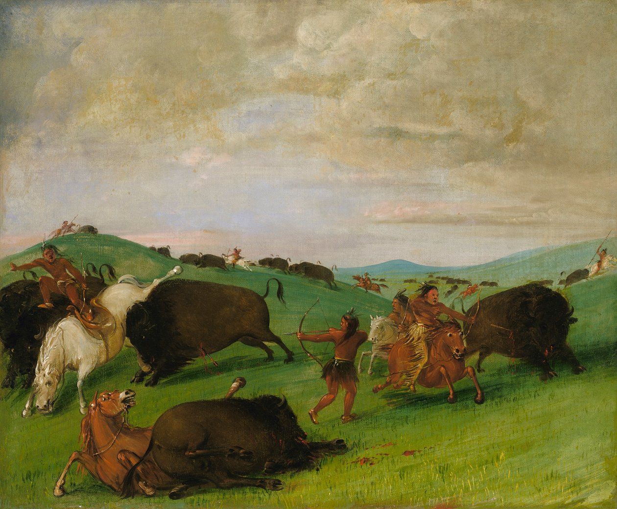 Pościg za bizonem, byki walczące z ludźmi i końmi autorstwa George Catlin