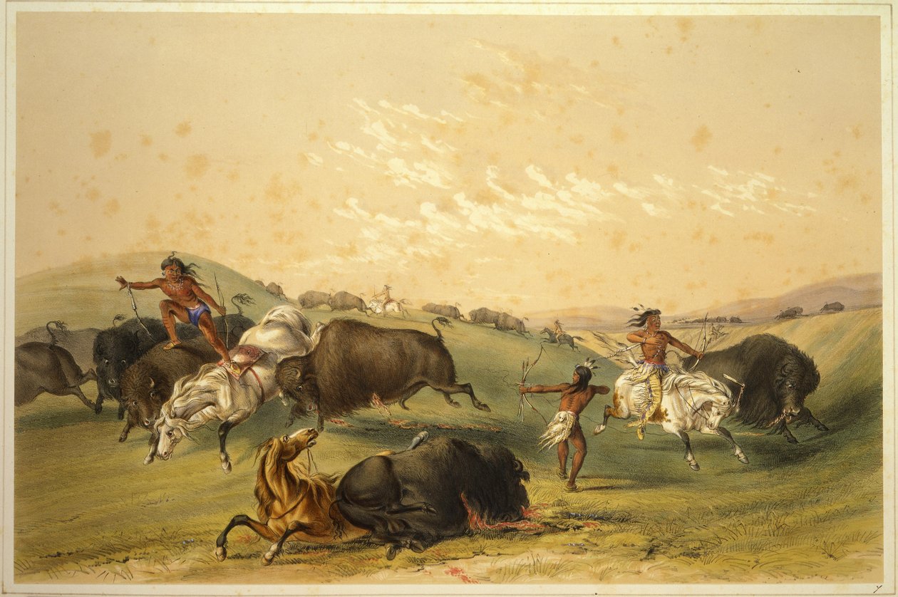 Polowanie na bizony: Liczna grupa autorstwa George Catlin