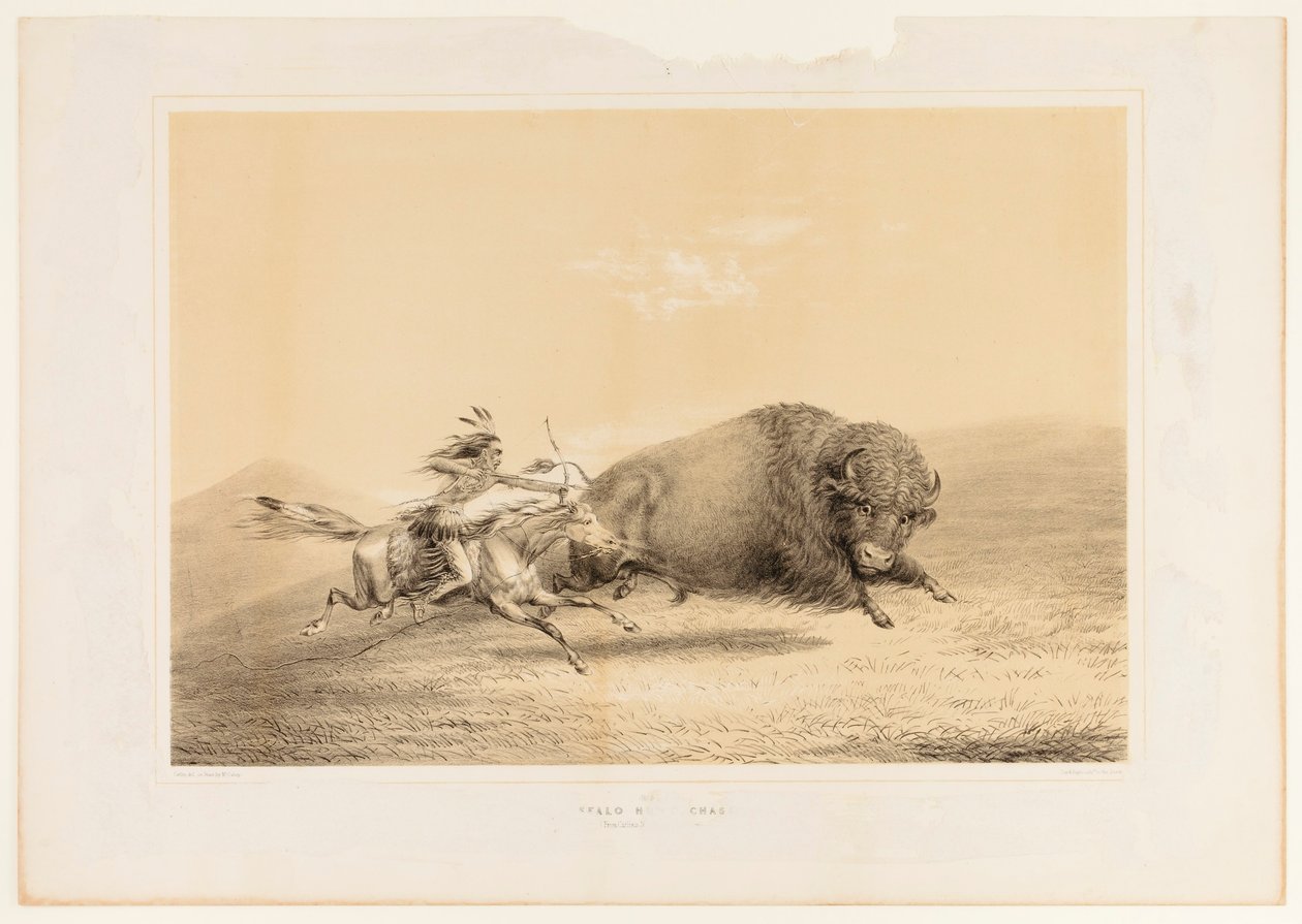 Polowanie na bizony, pościg nr. 5 autorstwa George Catlin