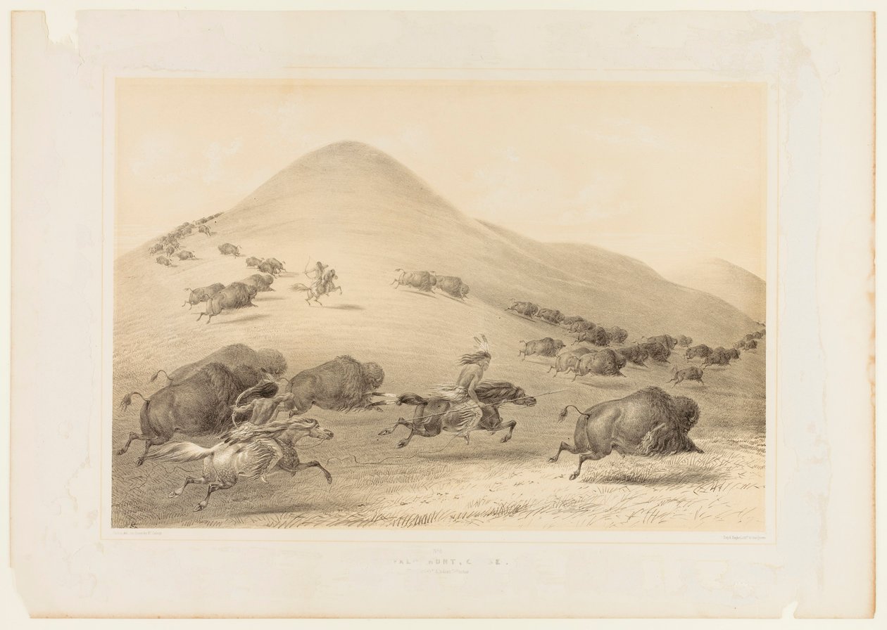 Polowanie na bizony, pościg - nr 6 autorstwa George Catlin