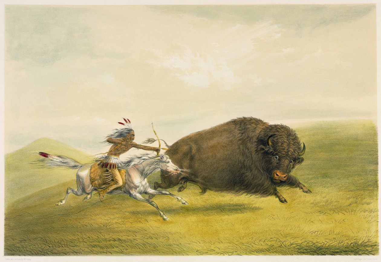 Buffalo Hunt Chase (kolorowa litografia) autorstwa George Catlin