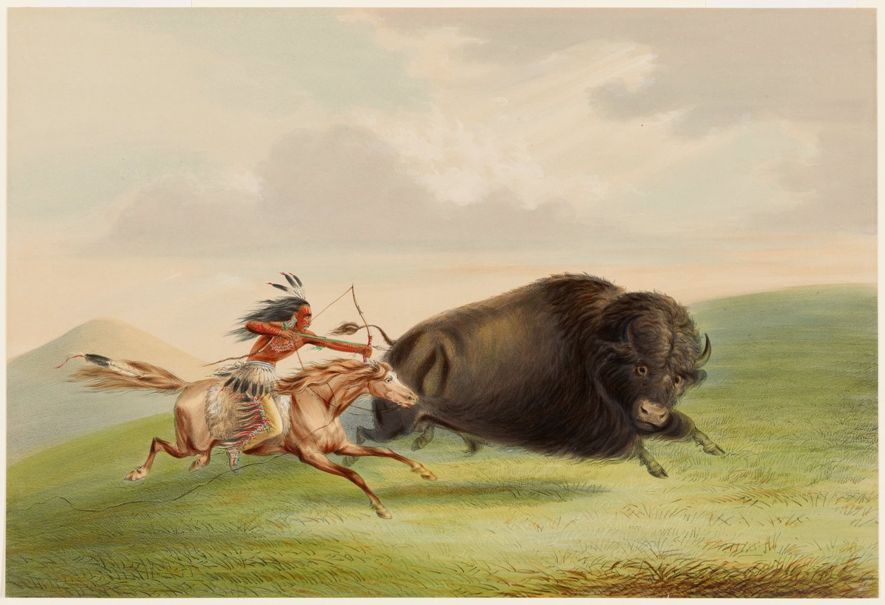 Polowanie na bizony, pościg autorstwa George Catlin