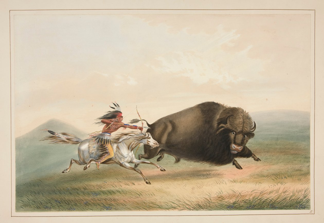 Polowanie na bawoły, Chase, pl. 5 z portfolio Indian północnoamerykańskich autorstwa George Catlin