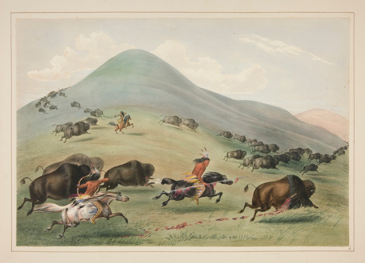 Polowanie na bawoły, Chase, pl. 6 z portfolio Indian Ameryki Północnej autorstwa George Catlin