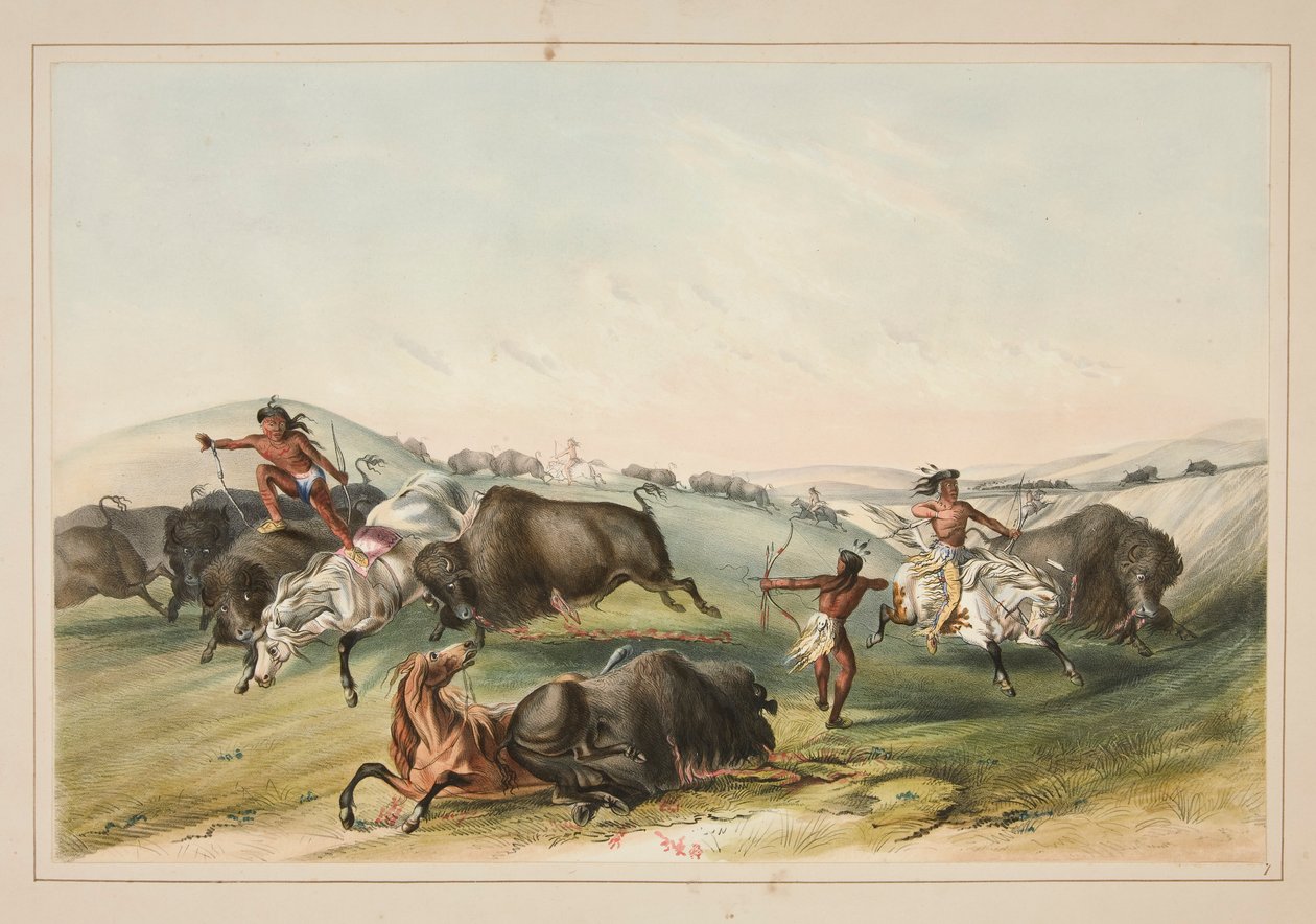 Polowanie na bawoły, Chase, pl. 7 z portfolio Indian północnoamerykańskich autorstwa George Catlin