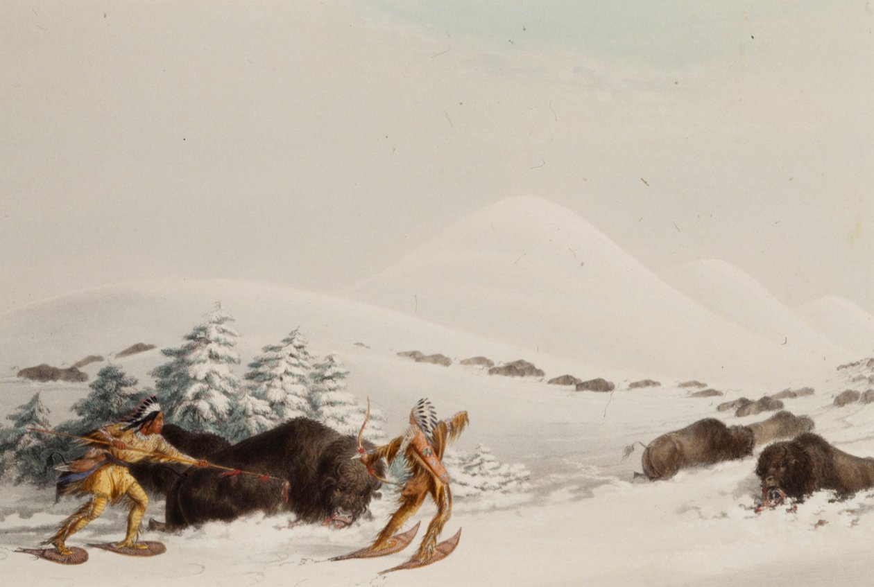 Polowanie na bizony w rakietach śnieżnych autorstwa George Catlin