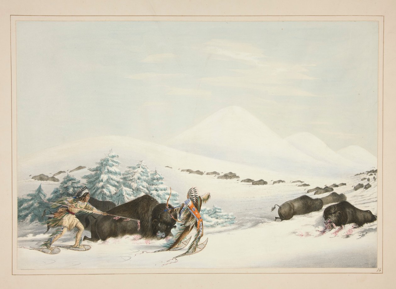 Polowanie na bawoły, Na śniegowcach, pl. 15 z portfolio Indian Ameryki Północnej autorstwa George Catlin