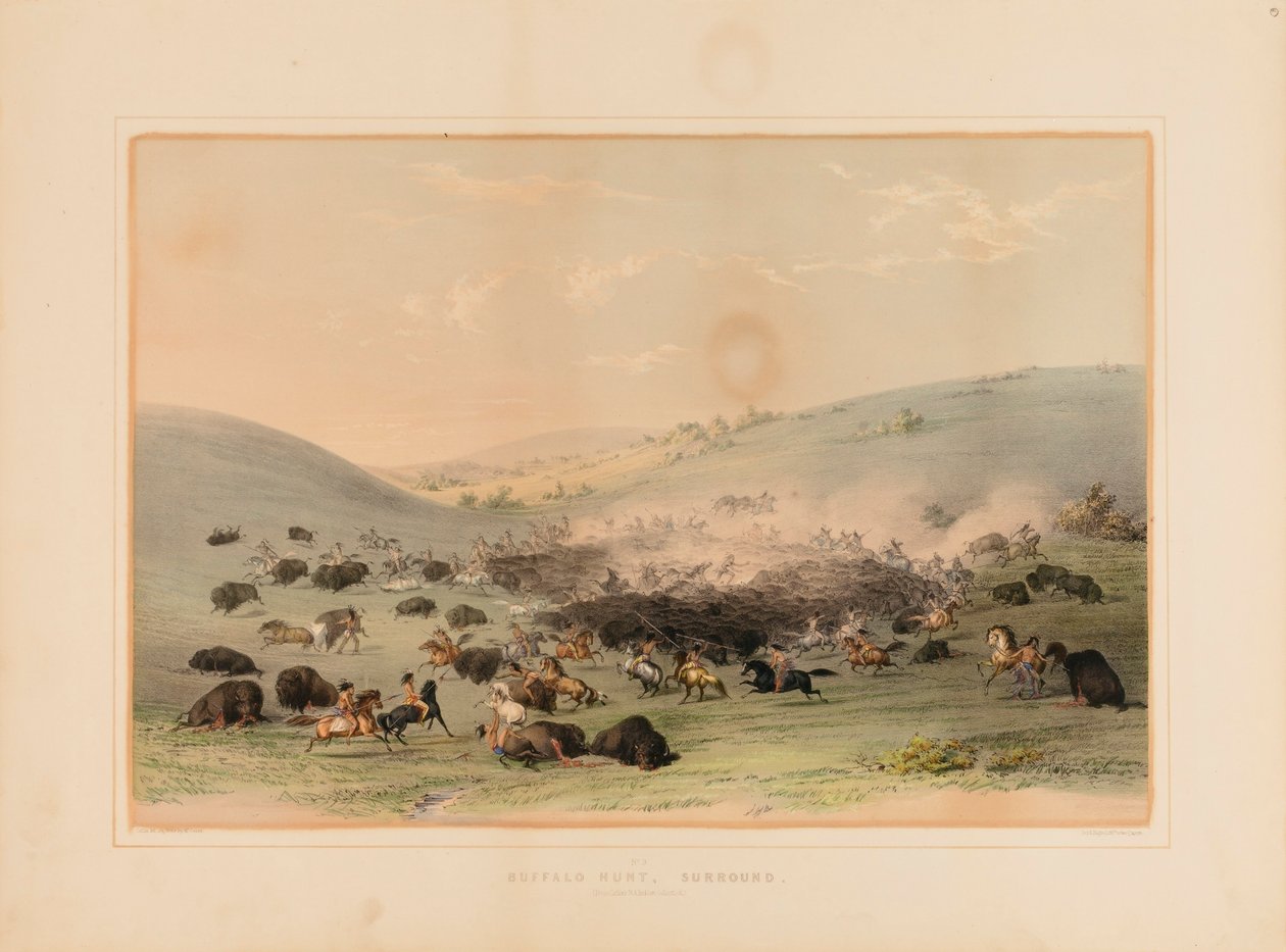 Buffalo Hunt Surround - nr 9 autorstwa George Catlin