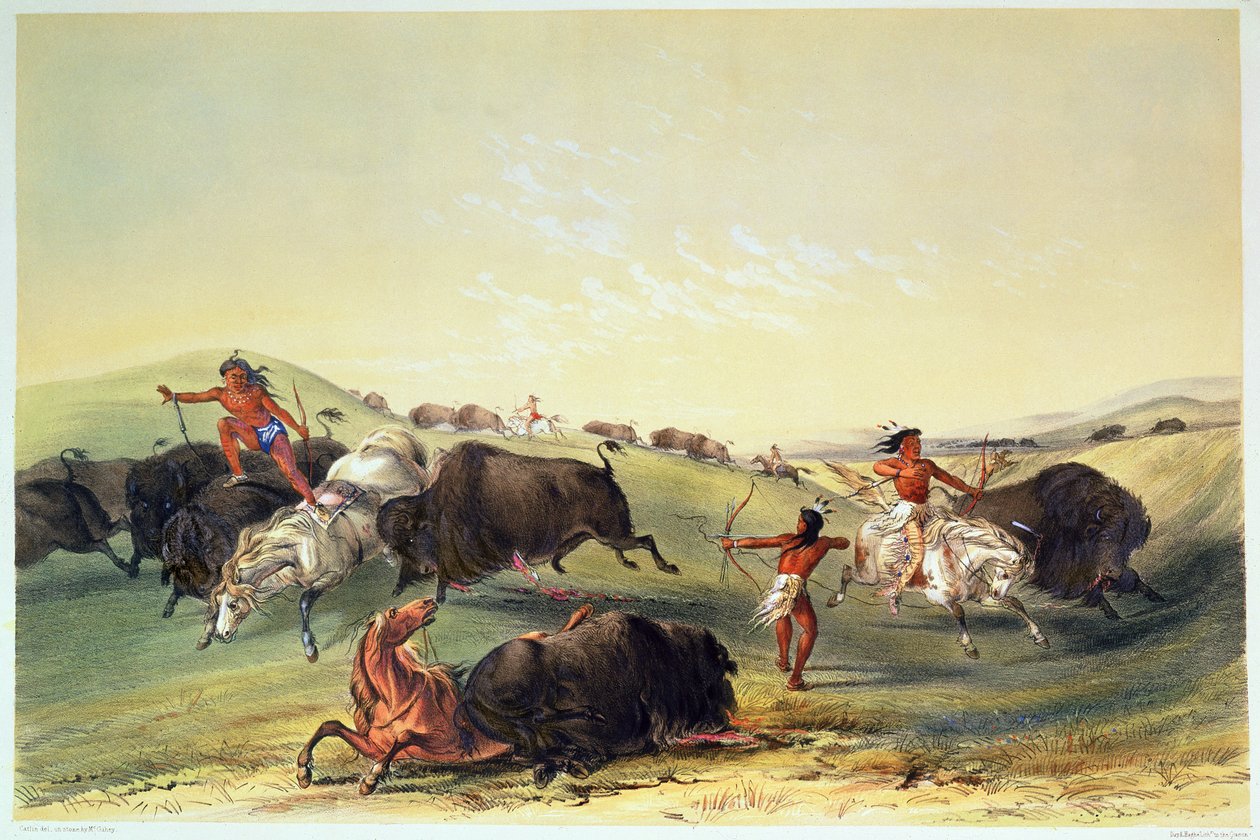 Buffalo Hunt, płyta 7 z kolekcji Catlin