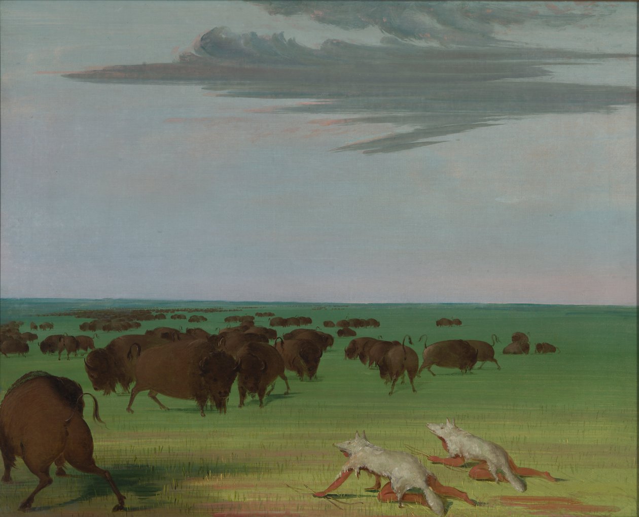 Polowanie na bizony pod maską z wilczej skóry, 1832-1833. autorstwa George Catlin