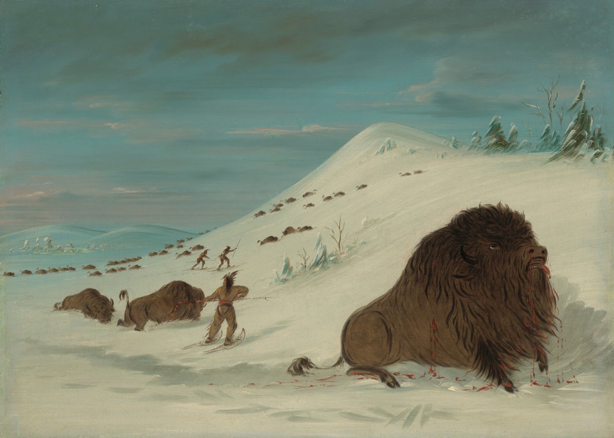 Buffalo Lancing in the Snow Drfts - Sioux, 18611869. autorstwa George Catlin