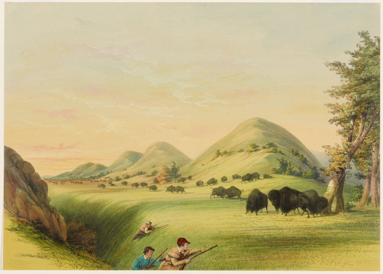 Polowanie na bizony, zbliżanie się w wąwozie autorstwa George Catlin