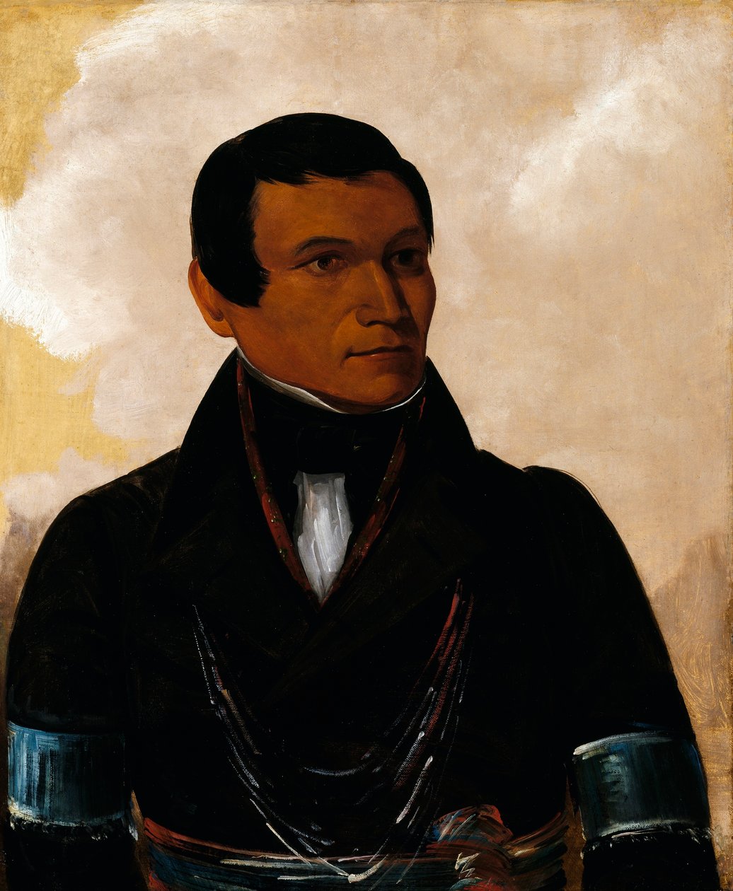 Cú-chory, syn wodza autorstwa George Catlin