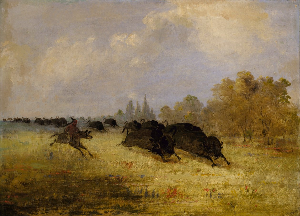 Indianie Caddo ścigający bizony, Cross Timbers, Teksas autorstwa George Catlin