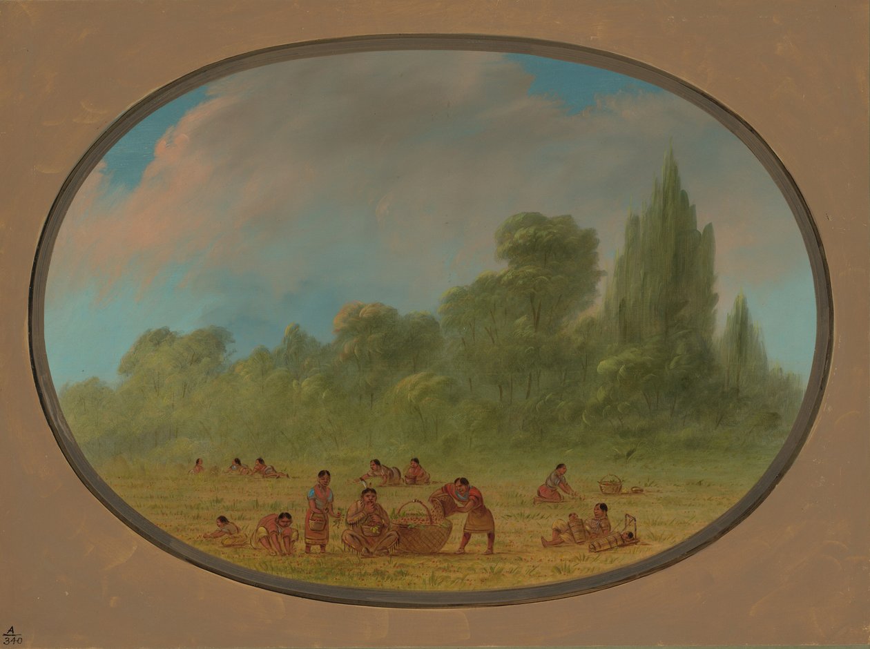 Indianie Caddo zbierają dzikie truskawki, 18611869. autorstwa George Catlin