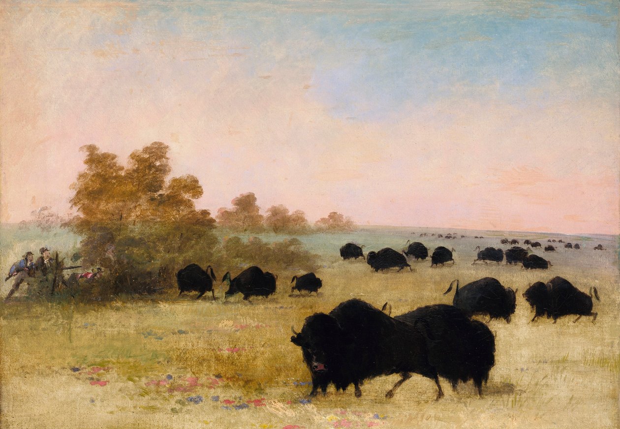 Catlin i Party Stalking Buffalo, Upper Missouri autorstwa George Catlin