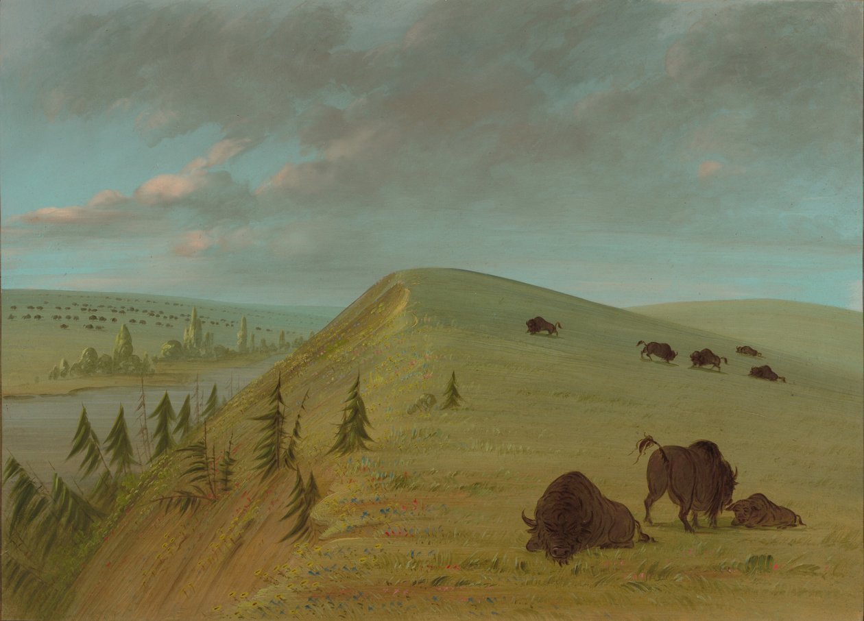 Cedrowe Urwiska, 18611869. autorstwa George Catlin