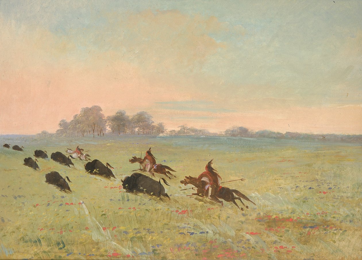 Indianie Komancze ścigający bizony autorstwa George Catlin