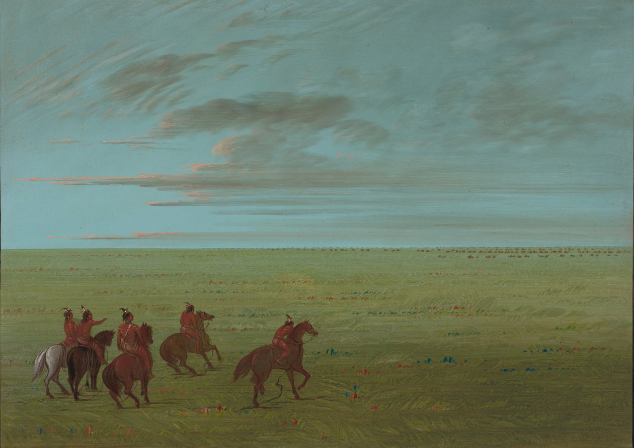 Connibos startujący dla dzikich koni, 18541869. autorstwa George Catlin