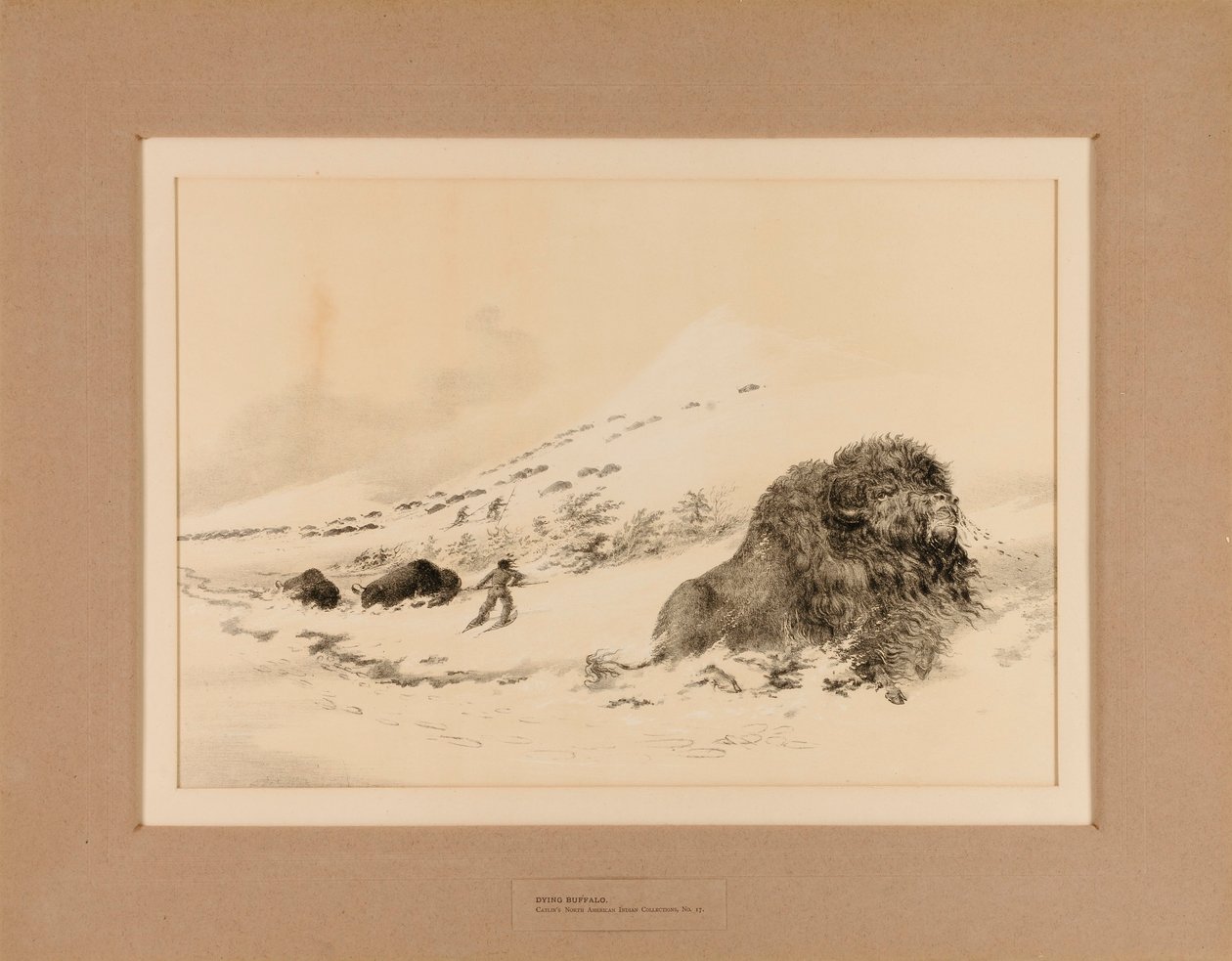Umierający Bawół - nr 17 autorstwa George Catlin