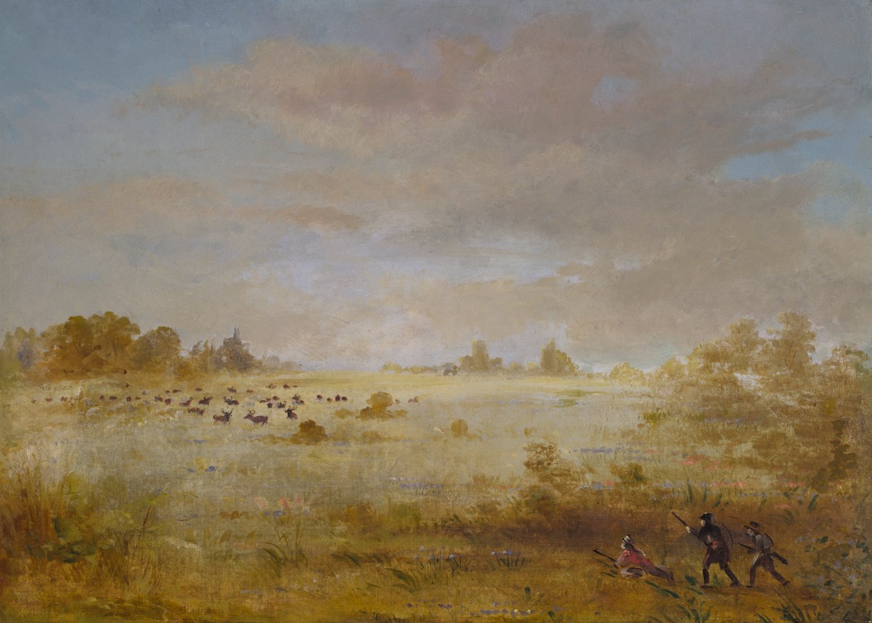 Ełk pasący się na jesiennej prerii, 1846-1848. autorstwa George Catlin