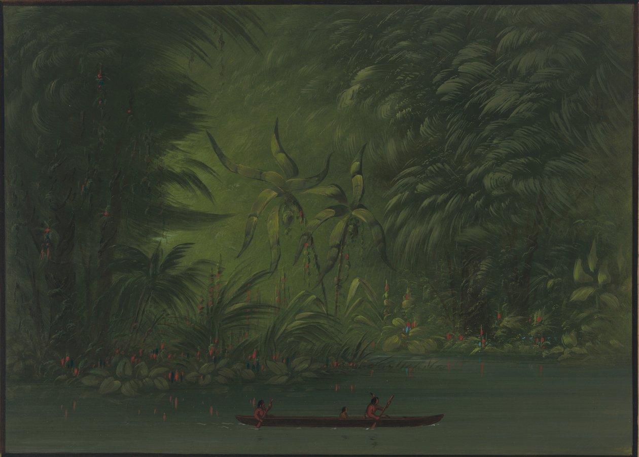 Wejście do laguny, brzeg Amazonki, 18541869. autorstwa George Catlin