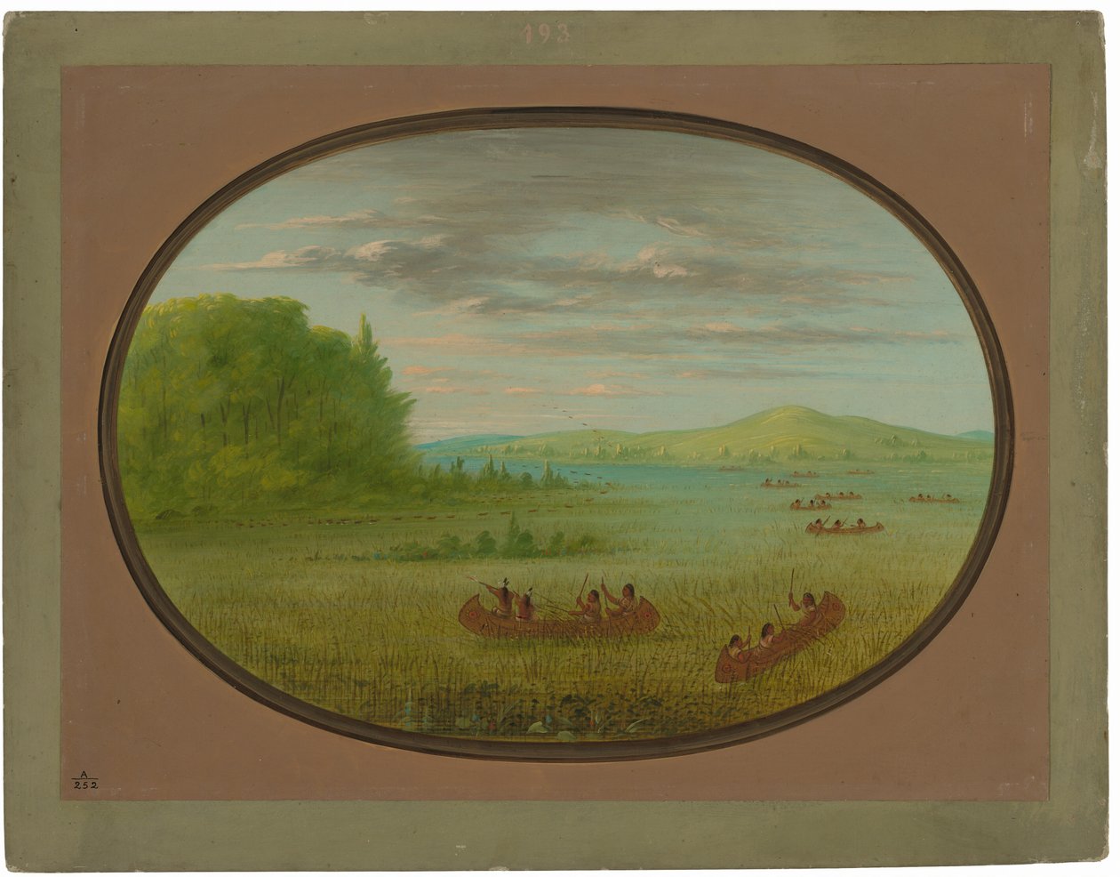Zbieranie dzikiego ryżu - Winnebago autorstwa George Catlin