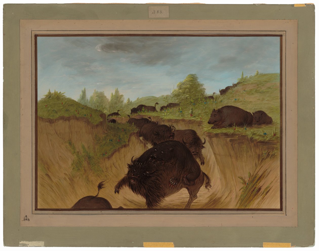 Niedźwiedzie grizzly atakują bawoły autorstwa George Catlin