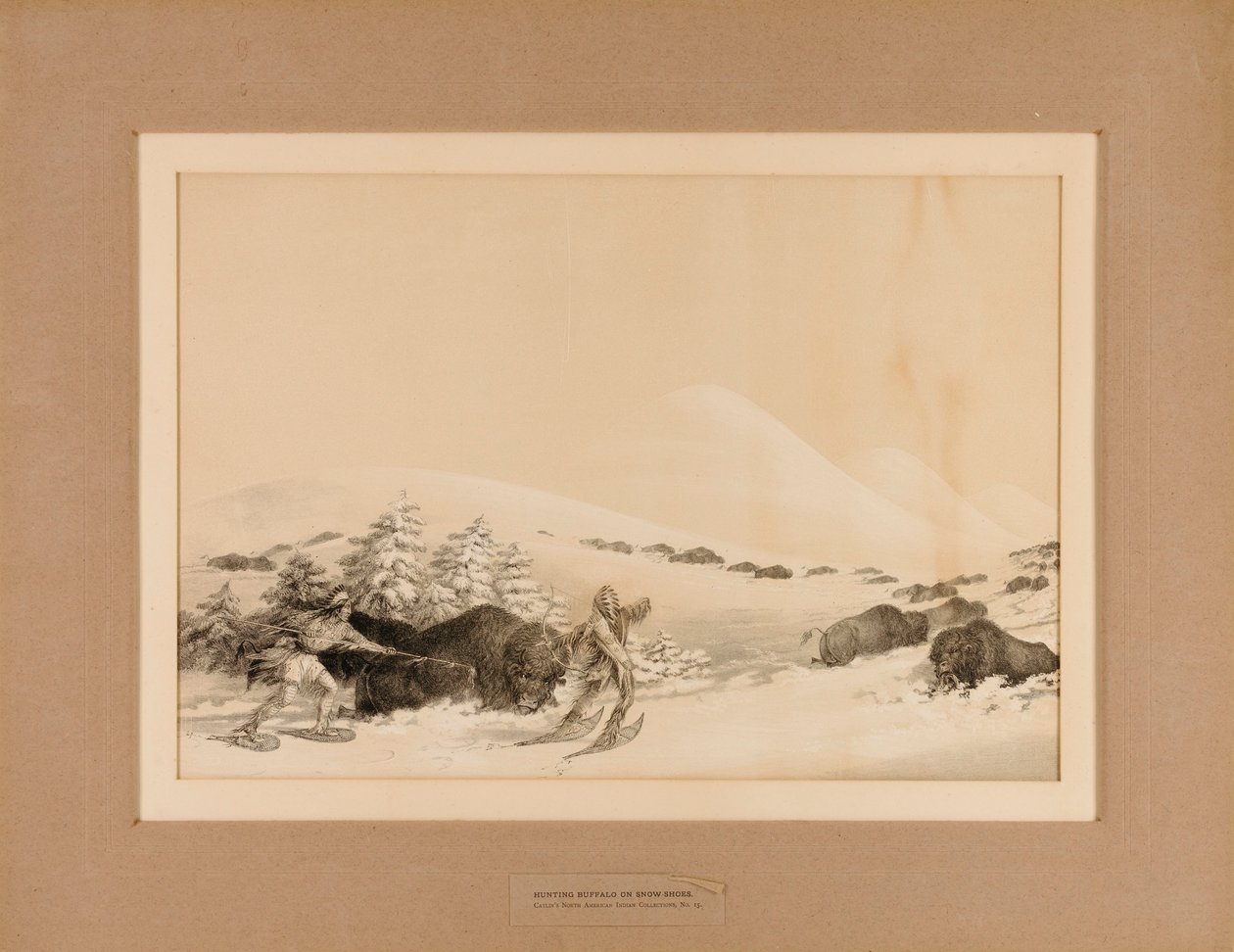 Polowanie na bizony na śniegu - nr 15 autorstwa George Catlin