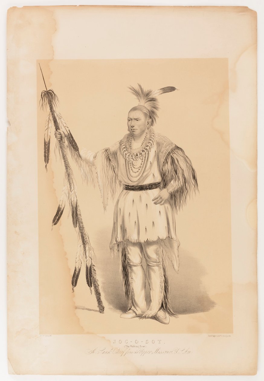 Joc-o-sot, chodzący niedźwiedź autorstwa George Catlin