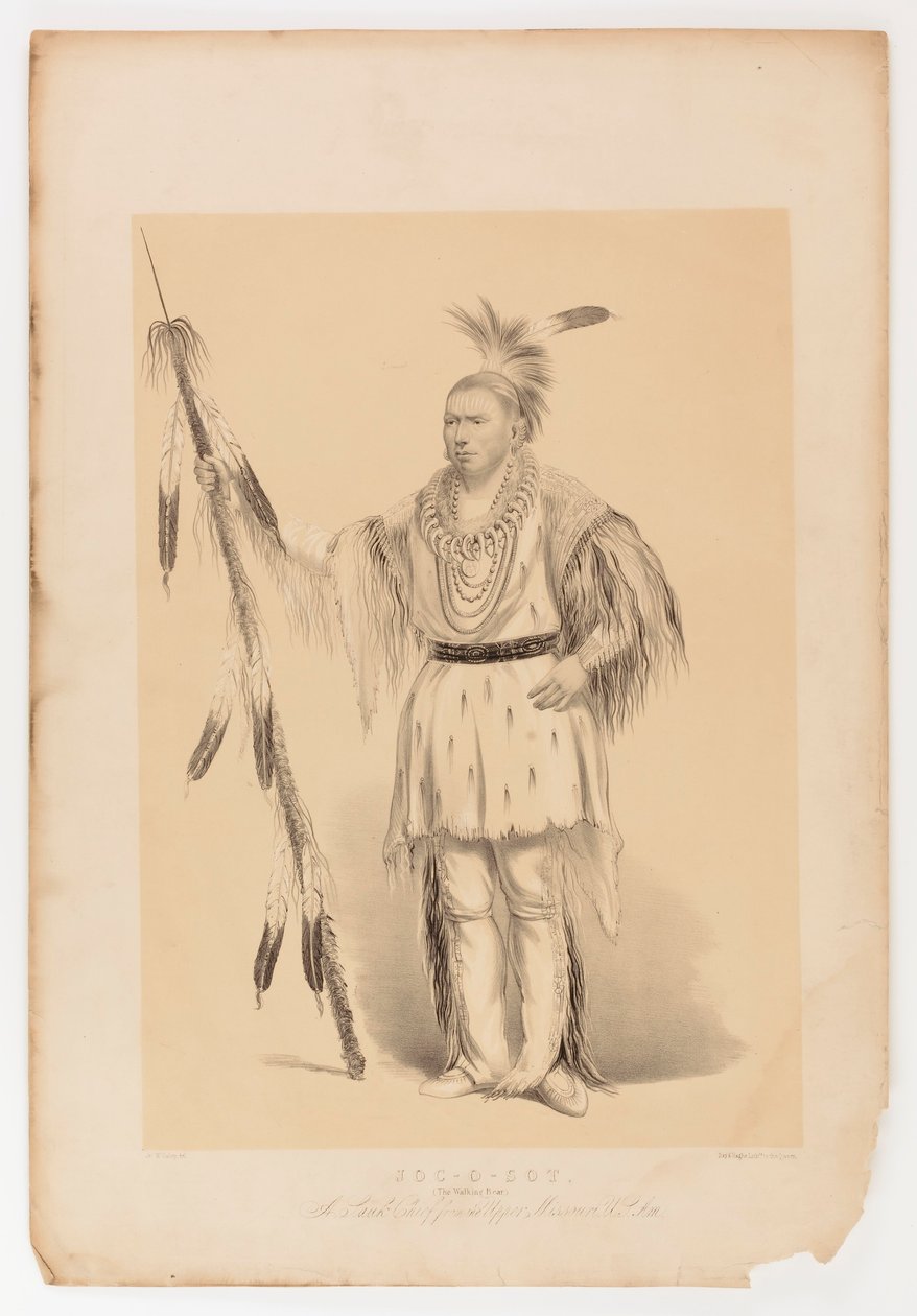 Joc-o-sot, chodzący niedźwiedź autorstwa George Catlin