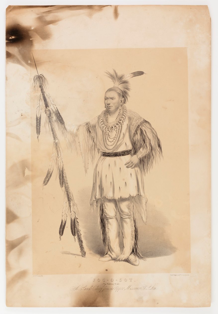 Joc-o-sot, chodzący niedźwiedź autorstwa George Catlin