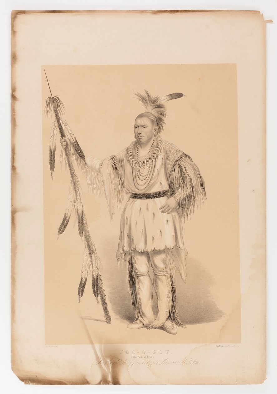 Joc-o-sot, chodzący niedźwiedź autorstwa George Catlin