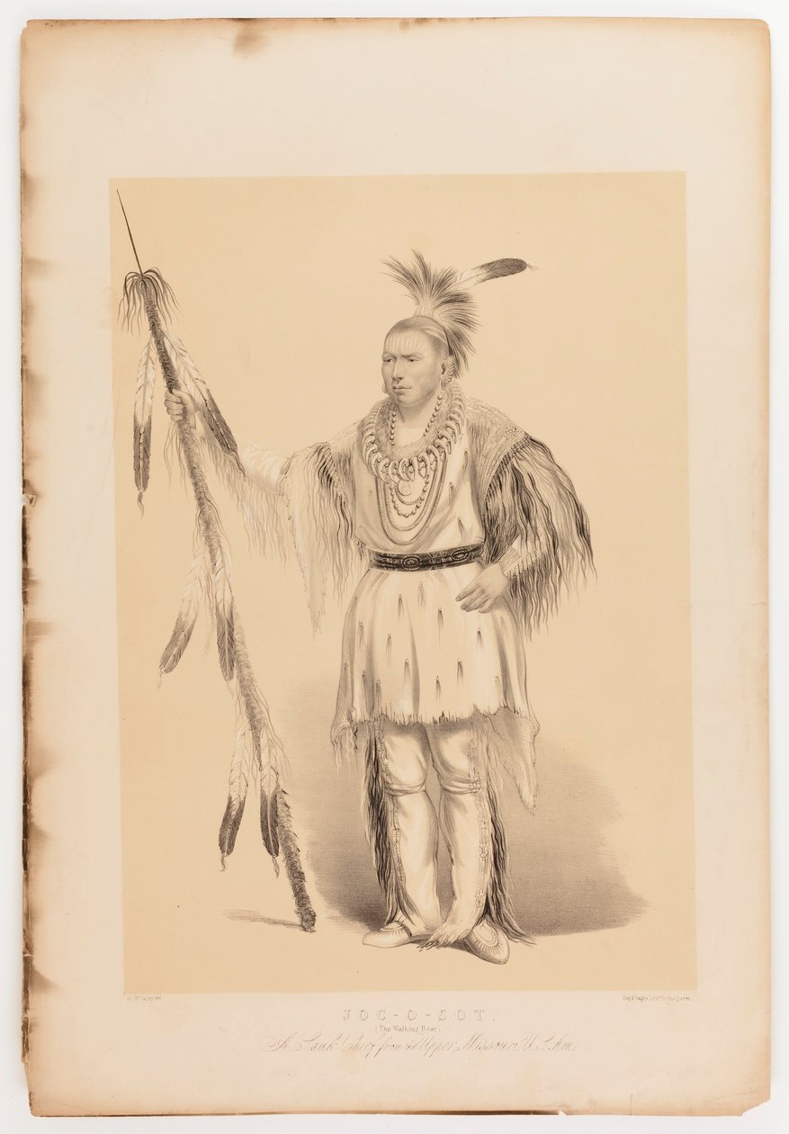 Joc-o-sot, chodzący niedźwiedź autorstwa George Catlin