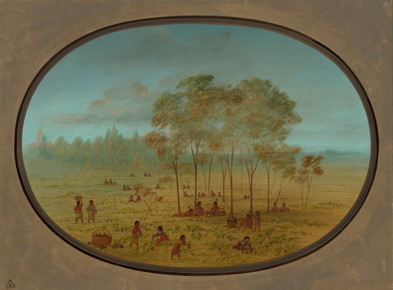 Indianie Kiowa zbierają dzikie winogrona, 18611869. autorstwa George Catlin