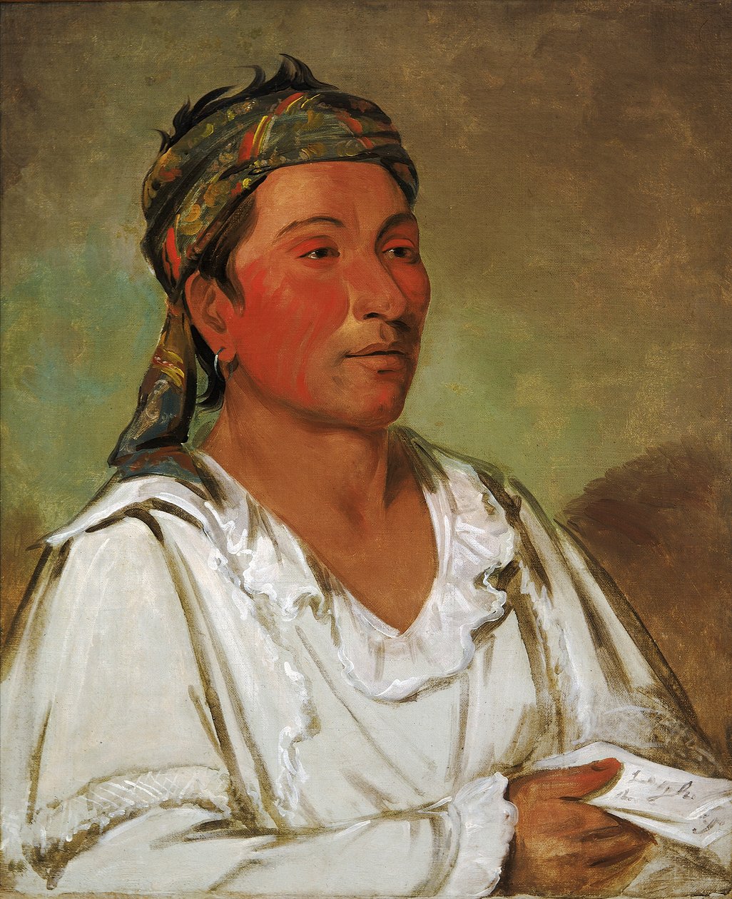 Lay-loo-ah-pee-ái-shee-kaw, Grass, Bush, and Blossom, Semicivilized, 1830. autorstwa George Catlin