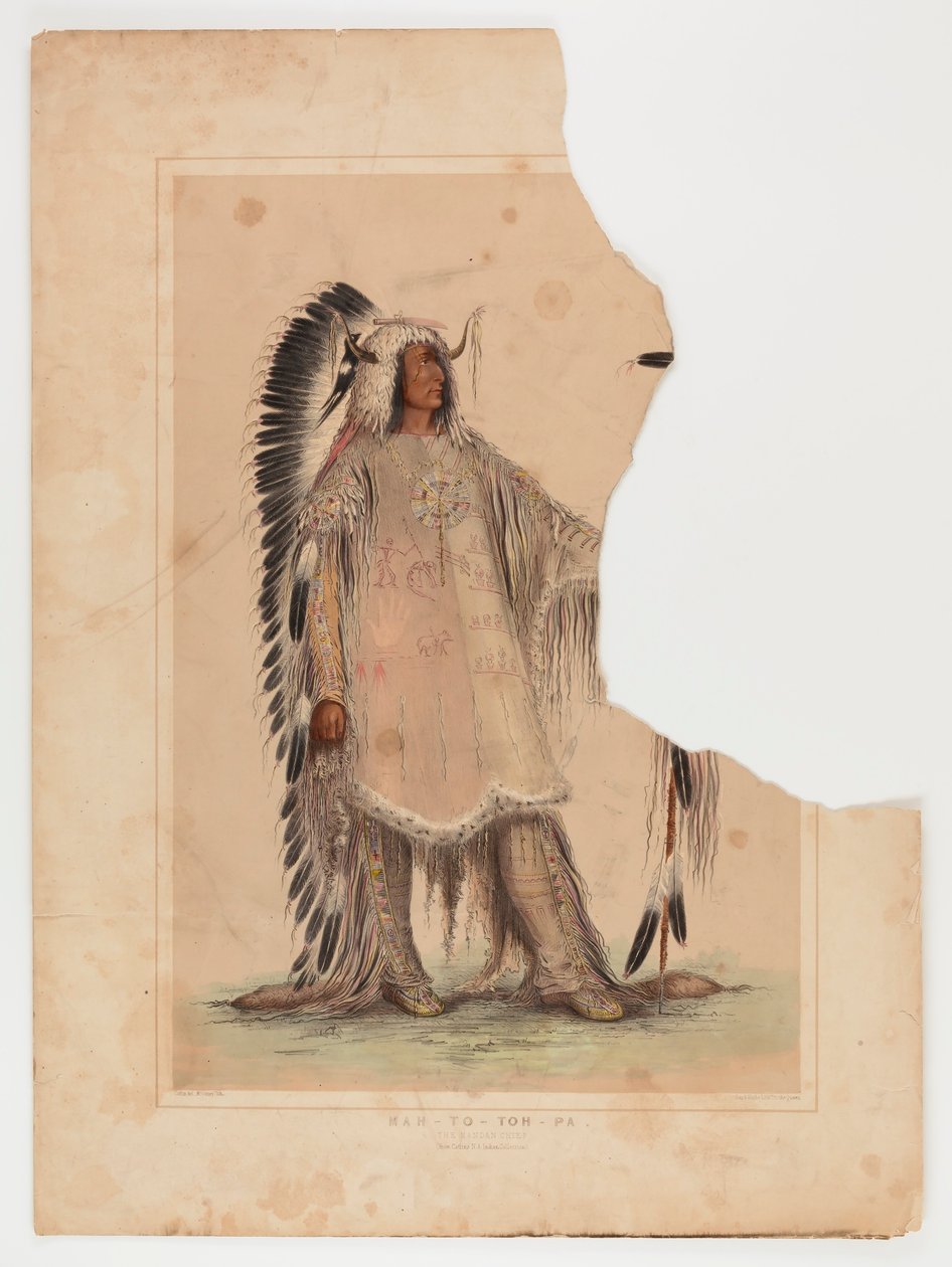 Mah-to-toh-pa, wódz Mandanów autorstwa George Catlin