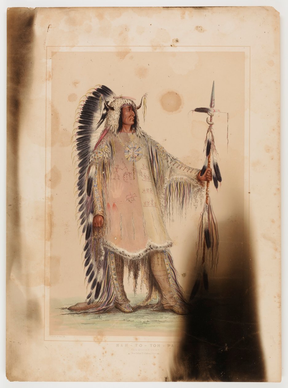 Mah-to-toh-pa, wódz Mandanów autorstwa George Catlin