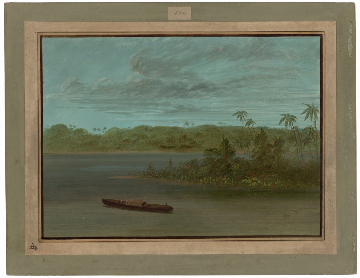 Ujście Rio Purus autorstwa George Catlin