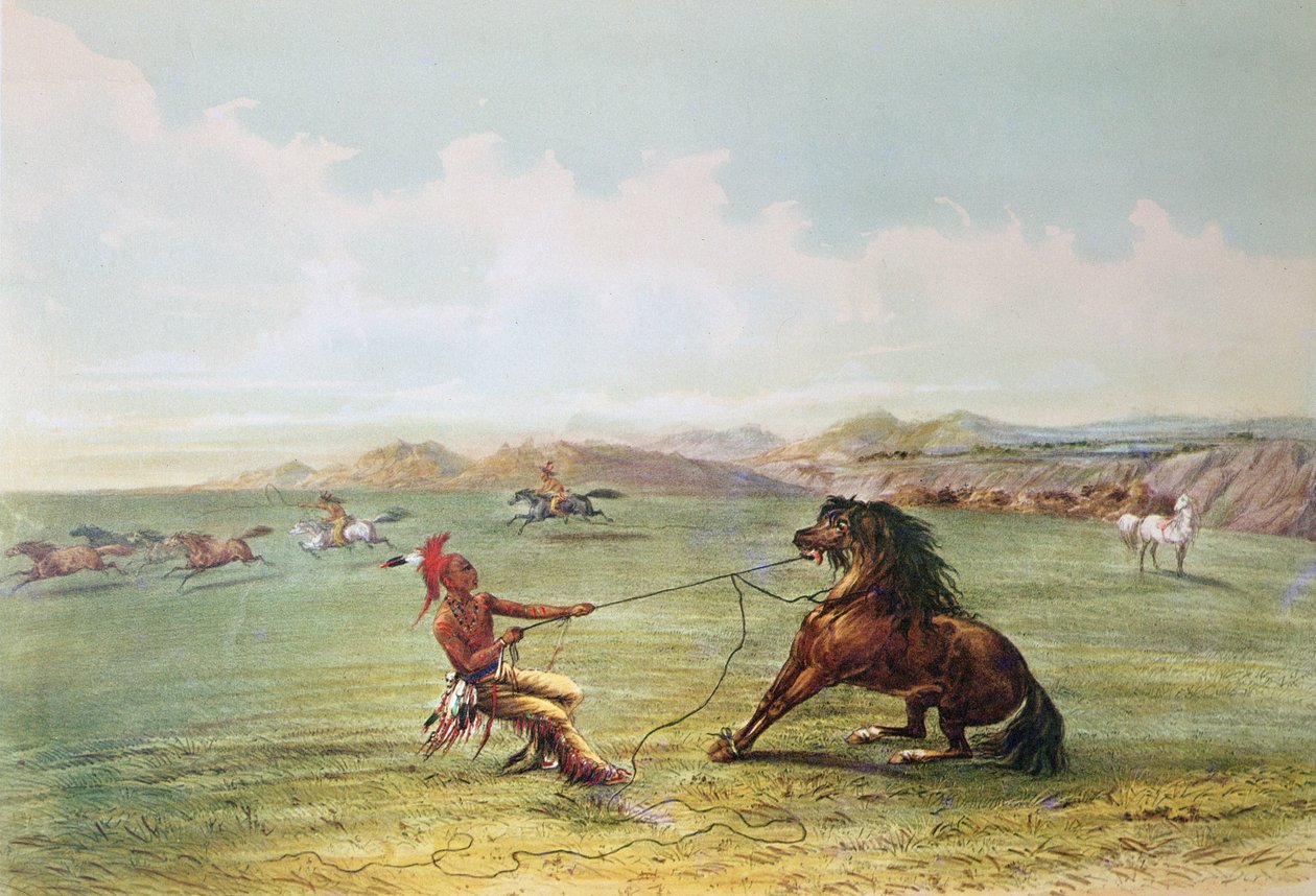 Łowcy Osage łapiący dzikie konie (kolor lito) autorstwa George Catlin