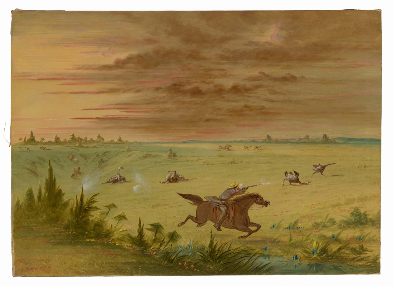 Strusia Chase, Buenos Aires - Auca autorstwa George Catlin